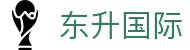 东升国际在线